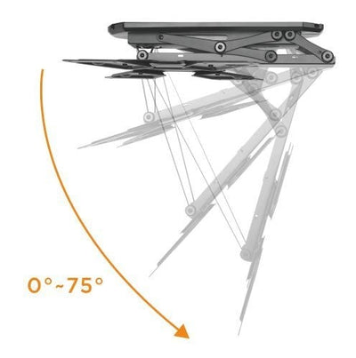 Motorized Ceiling Flip Down TV Mount
